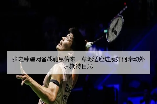 张之臻温网备战消息传来，草地适应进展如何牵动外界期待目光