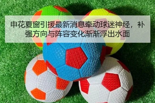 申花夏窗引援最新消息牵动球迷神经，补强方向与阵容变化渐渐浮出水面